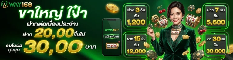 way 168 wallet
